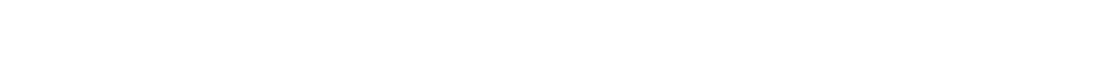 FalconStor Software