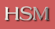 HSM Informatik
