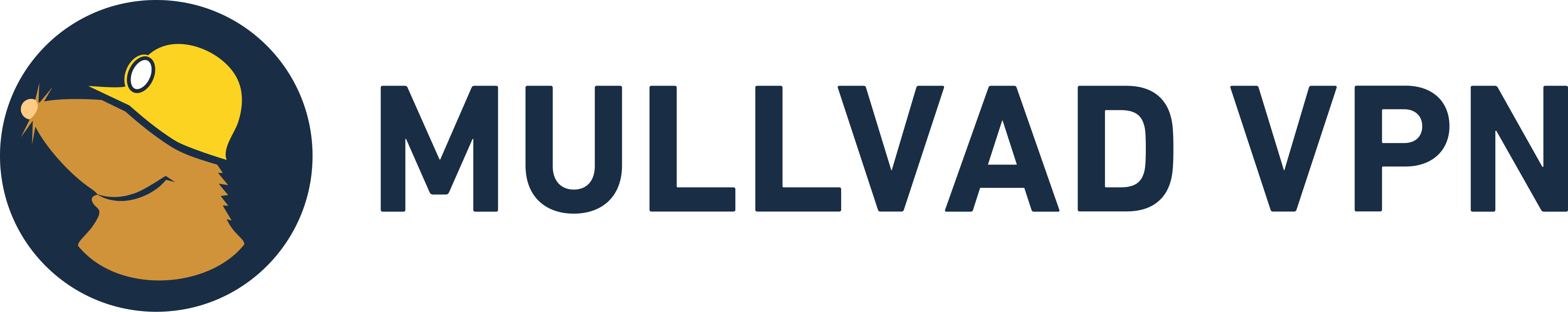 Mullvad VPN