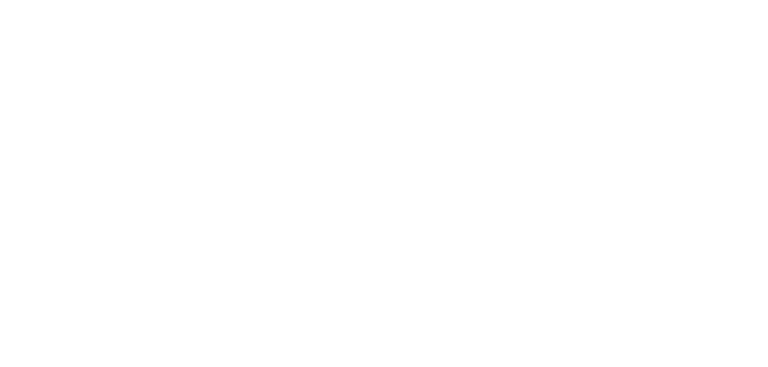 Reallusion